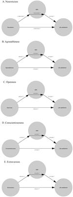 Self-rated health (SRH) partially mediates and associations between personality traits and life satisfaction in older adults
